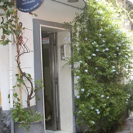 Guest house La Naples